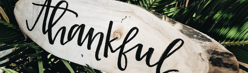 gratitud