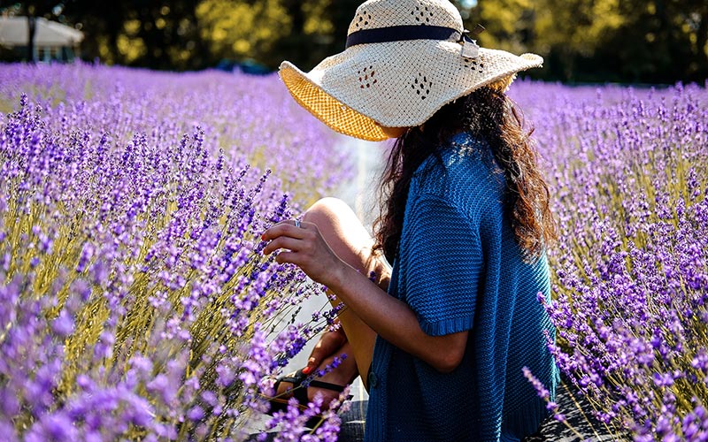La influencia de los aromas en la salud: de la afrodisíaca vainilla a la relajante lavanda