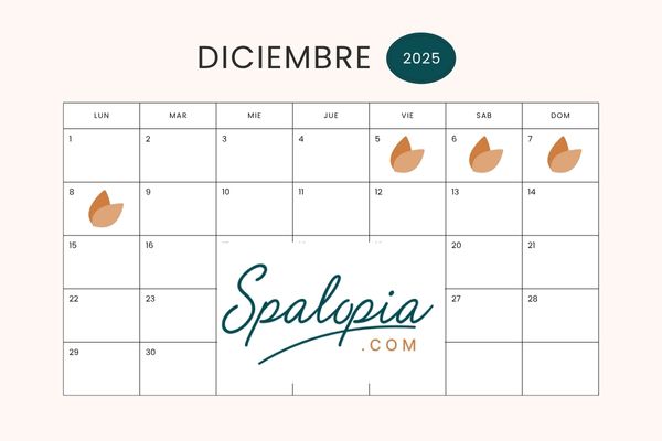Disfruta del Puente de Diciembre en un spa: descanso, bienestar y escapada perfecta